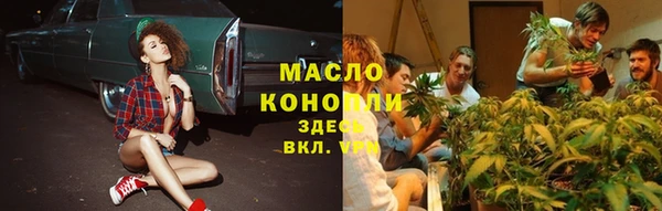 сатива Пересвет