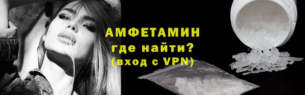 сатива Пересвет