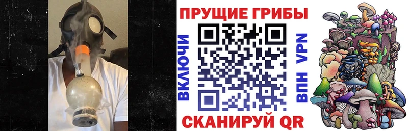 Псилоцибиновые грибы Cubensis  Зея 
