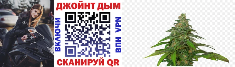 где найти наркотики  darknet наркотические препараты  МЕГА tor  Канабис THC 21%  Зея 